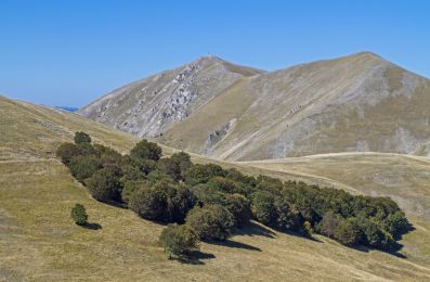 Entroterra marchigiano