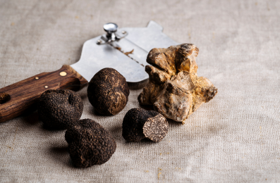 Tartufo di Roccafluvione